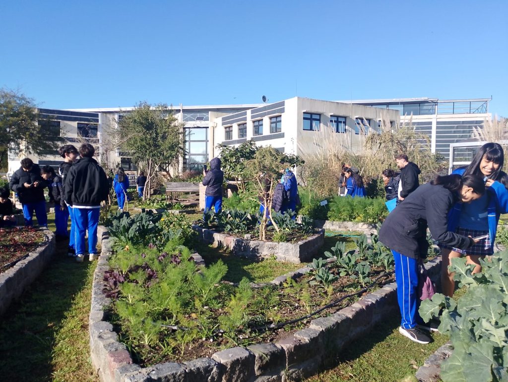 Terraza verde del colegio con la huerta escolar